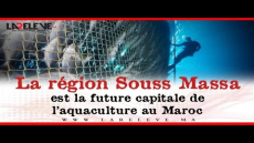 سوس عاصمة تربية الأحياء المائية
