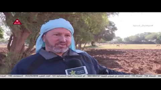 انزكان :تأخر التساقطات المطرية يؤثر سلبا على مربي الماشية