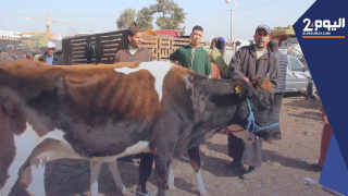 كساد في سوق البهائم بإنزكان بسبب غلاء أسعار الأعـلاف