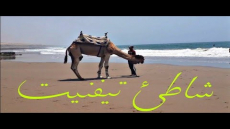 شاطئ تيفنيت باشتوكة