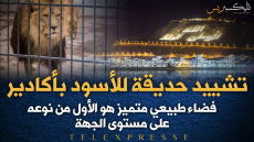 مشروع حديقة الأسود بمدينة أكادير