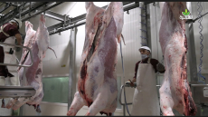 أكادير: لقاء حول الجيل الجديد لنظام التجميع الفلاحي