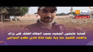 كسابة عايشين الجحيم بسبب الجفاف باشتوكة