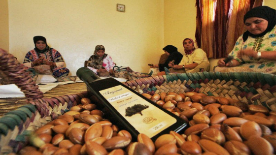 الجفاف و الأسعار يهددان تعاونيات إنتاج الأركان بسوس