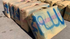 اشتوكة..حجز نصف طن من المخدرات وسط ضيعة فلاحية