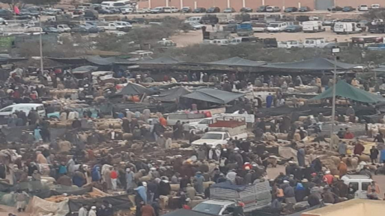 +صور .كأكبر رقم بسوق جماعة بلفاع : أزيد من 11 الف رأس من الأضاحي بالسوق الجهوي بلفاع.