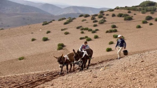 التساقطات المطرية التي تخلف ارتياحا نسبيا في صفوف الفلاحين